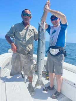 Barracuda fishing in Naples, Florida