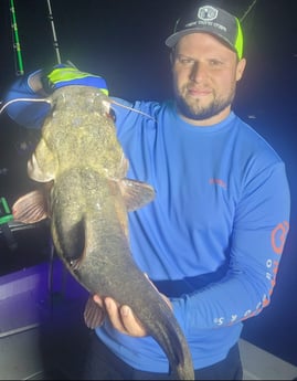 Flathead Catfish fishing in Dallas, Texas