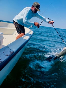 Tarpon fishing in Galveston, Texas