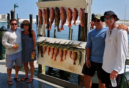 Mahi Mahi / Dorado, Red Snapper fishing in Destin, Florida