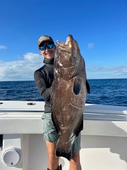 Black Grouper Fishing in Islamorada, Florida