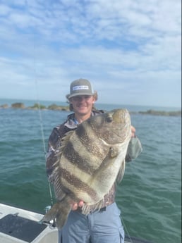 Sheepshead fishing in Galveston, Texas