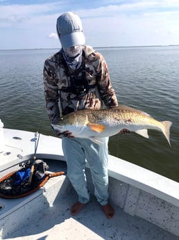 Fishing in New Orleans, Louisiana