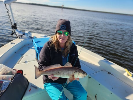 Redfish Fishing in Crawfordville, Florida