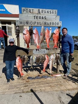 Black Drum, Red Snapper, Redfish, Sheepshead, Speckled Trout Fishing in Rockport, Texas