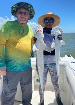 Bonnethead Shark fishing in Surfside Beach, Texas