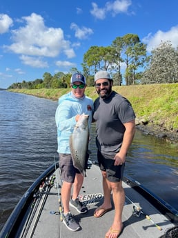 Clown Knifefish Fishing in Boca Raton, Florida