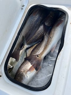 Fishing in South Padre Island, Texas