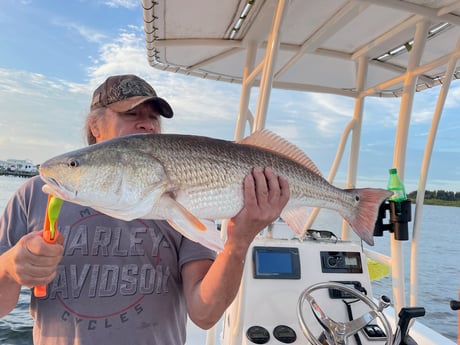 Redfish fishing in Port Orange, Florida, USA