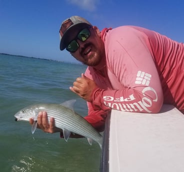 Bonefish fishing in Islamorada, Florida