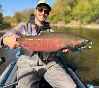 Coho Salmon Fishing in Sheboygan, Wisconsin