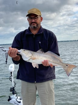 Redfish Fishing in Sarasota, Florida