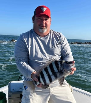 Sheepshead Fishing in Port Orange, Florida