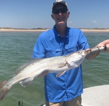 Speckled Trout / Spotted Seatrout fishing in Port Aransas, Texas