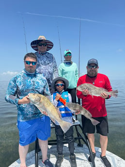 Black Drum Fishing in South Padre Island, Texas