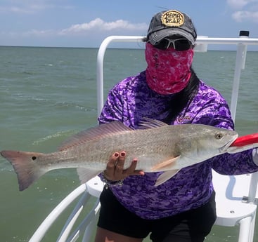 Redfish fishing in South Padre Island, Texas