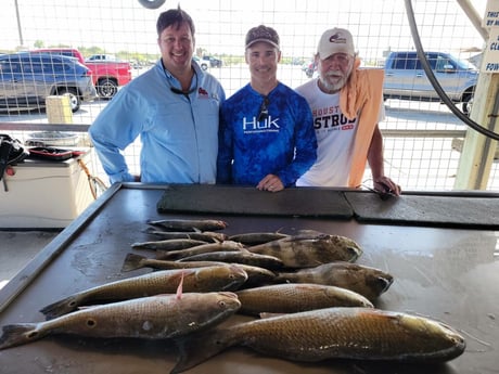 Redfish, Sheepshead, Speckled Trout / Spotted Seatrout fishing in Matagorda, Texas