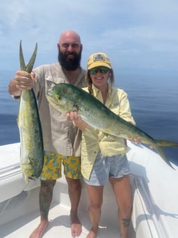 Mahi Mahi Fishing in Key West, Florida