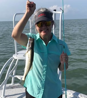 Speckled Trout / Spotted Seatrout fishing in South Padre Island, Texas