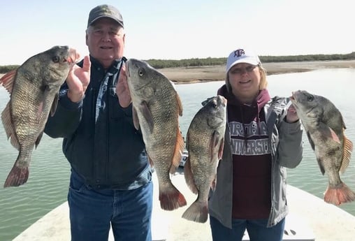 Black Drum fishing in Port Aransas, Texas