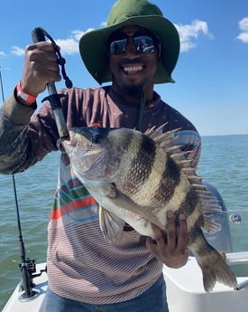 Sheepshead fishing in Galveston, Texas