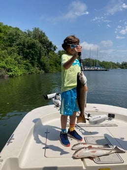 Sheepshead fishing in St. Petersburg, Florida