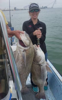 Black Drum fishing in Rockport, Texas