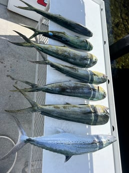 Fishing in Key West, Florida