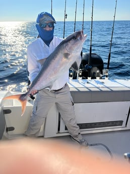 Amberjack fishing in Freeport, Texas