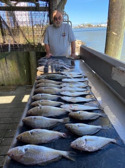 Black Drum, Grunt, Speckled Trout / Spotted Seatrout Fishing in Surfside Beach, Texas