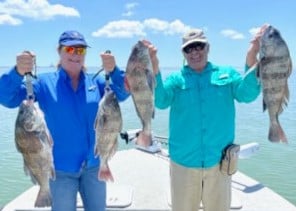 Black Drum fishing in Port Aransas, Texas