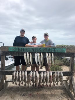 Black Drum, Speckled Trout / Spotted Seatrout fishing in Corpus Christi, Texas