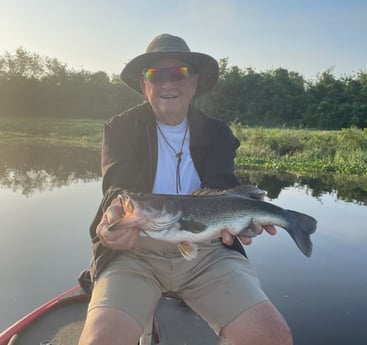 Largemouth Bass Fishing in Lake Okeechobee, Florida