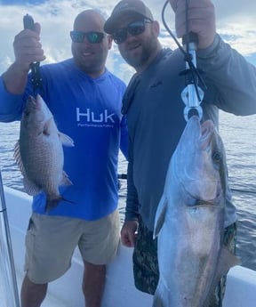 Amberjack, Mangrove Snapper Fishing in Panama City, Florida