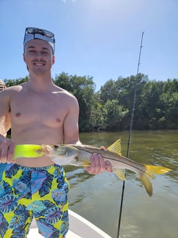 Snook Fishing in St. Petersburg, Florida