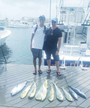 Mahi Mahi / Dorado fishing in Key West, Florida