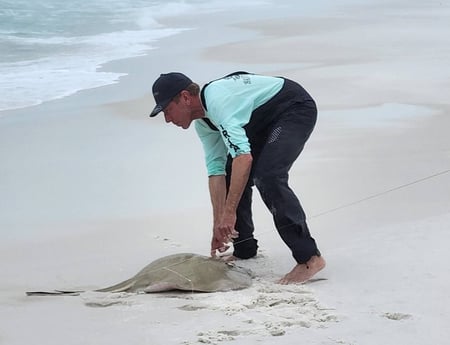 Stingray Fishing in Destin, Florida