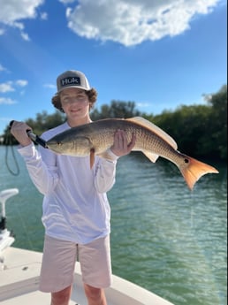 Speckled Trout / Spotted Seatrout fishing in Sarasota, Florida