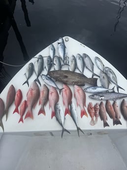 Fishing in Fort Lauderdale, Florida