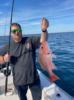 Red Snapper Fishing in Gulf Shores, Alabama