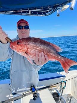 Red Snapper Fishing in Destin, Florida