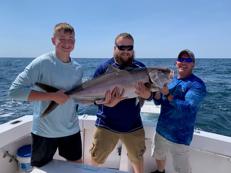 Amberjack fishing in Orange Beach, Alabama