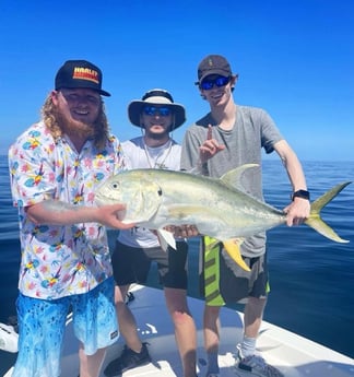 Gag Grouper fishing in Port Orange, Florida