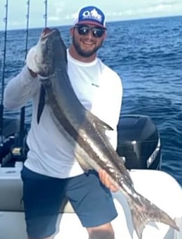 Cobia fishing in Freeport, Texas