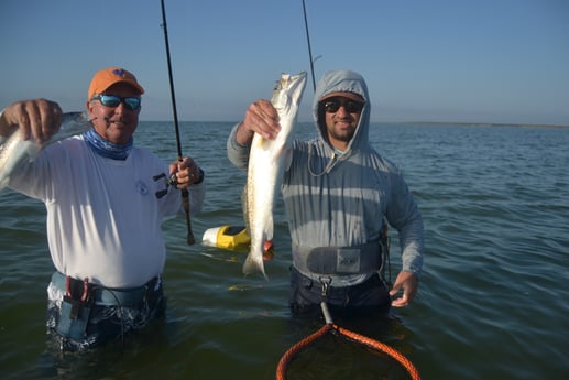 Speckled Trout / Spotted Seatrout fishing in Corpus Christi, Texas