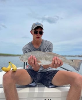 Redfish fishing in Wrightsville Beach, North Carolina