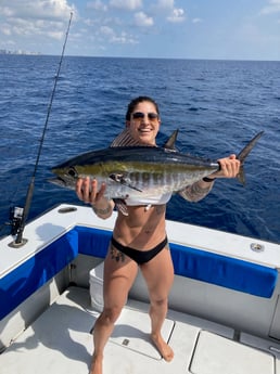 Blackfin Tuna fishing in West Palm Beach, Florida