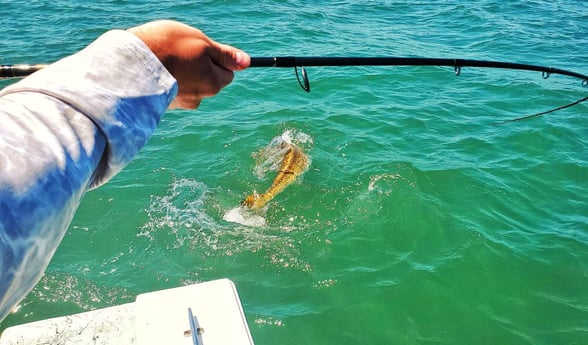 Redfish fishing in Beaufort, North Carolina