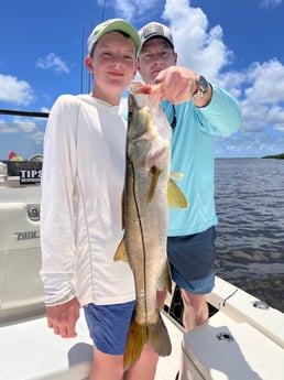 Snook fishing in Fort Myers, Florida