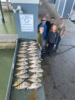 Sheepshead fishing in Galveston, Texas